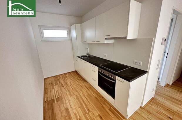 Terrassenwohnung mieten in 8020 Graz (Bild 3)