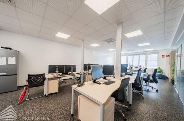 Gewerbeobjekt mieten in 2201 Gerasdorf (Bild 2)