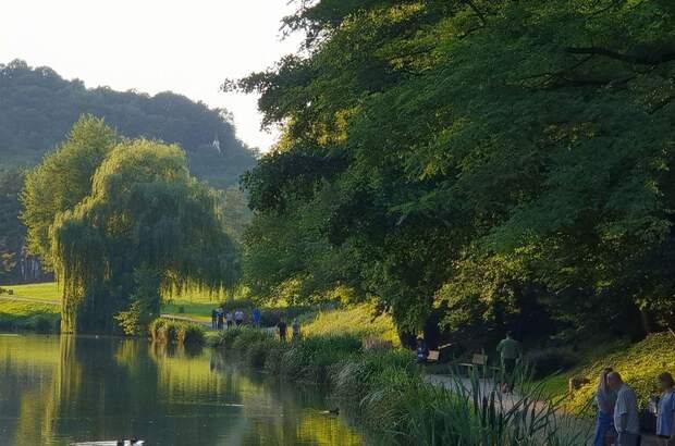 Haus mit Garten kaufen (Bild 3)