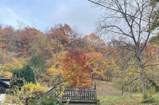 Grundstück kaufen in 3400 Klosterneuburg (Bild 2)
