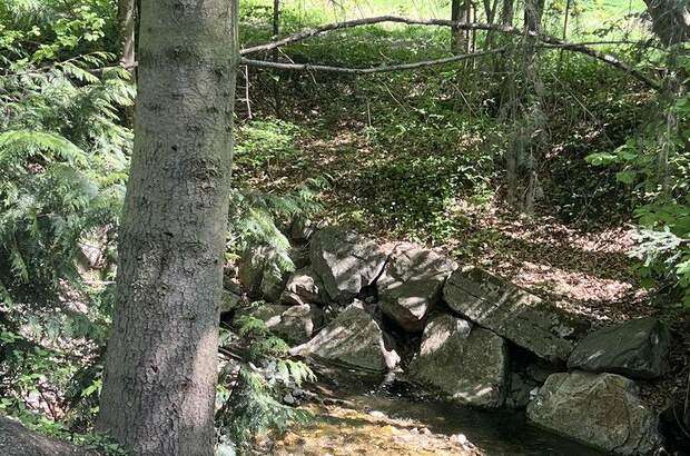 Mehrfamilienhaus kaufen in 3001 Mauerbach (Bild 4)