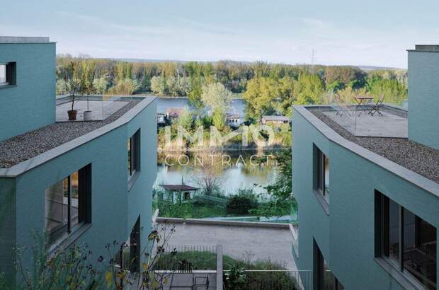 Haus kaufen in 3421 Höflein