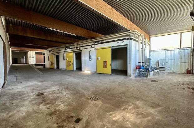 Gewerbeobjekt mieten in 3170 Hainfeld (Bild 1)