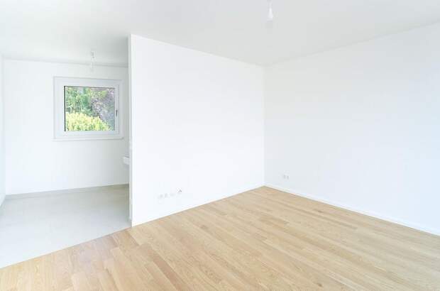 Anlageobjekt kaufen in 2345 Brunn (Bild 5)