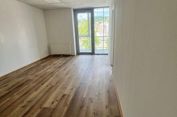Gewerbeobjekt mieten in 4048 Puchenau (Bild 5)
