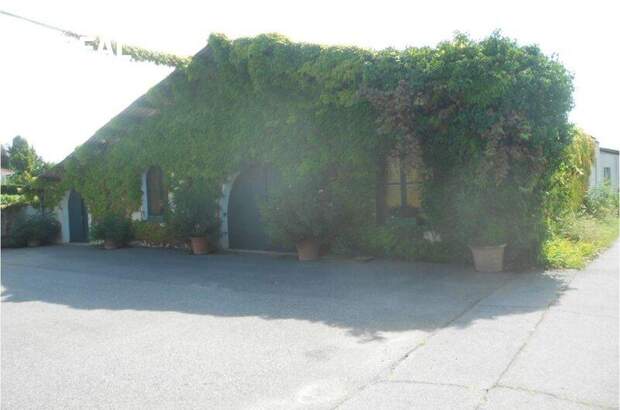 Lager kaufen in 7122 Gols (Bild 1)