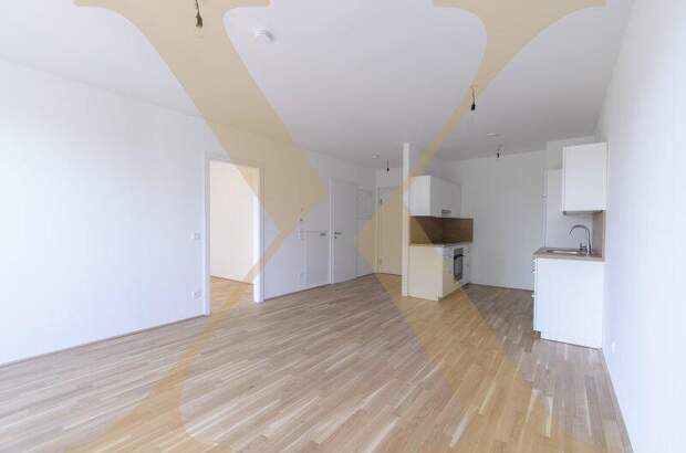 Terrassenwohnung mieten in 4020 Linz (Bild 1)