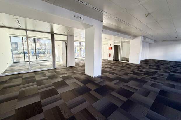 Gewerbeobjekt mieten in 8020 Graz (Bild 1)