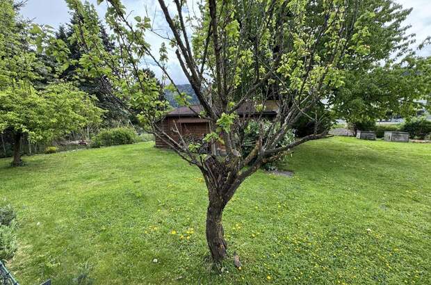 Grundstück kaufen in 6060 Hall (Bild 3)