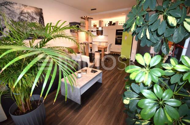 Terrassenwohnung kaufen in 4240 Freistadt (Bild 1)