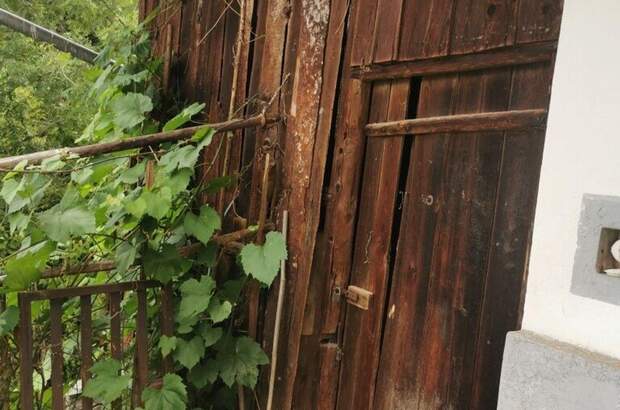 Grundstück kaufen in 8054 Seiersberg (Bild 5)