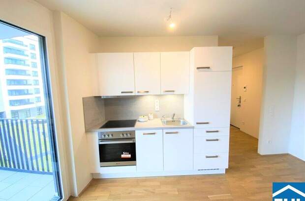 Terrassenwohnung mieten in 1100 Wien (Bild 2)