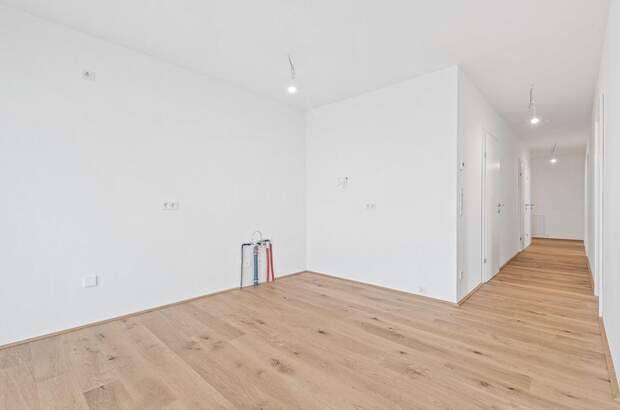 Anlageobjekt kaufen in 2540 Bad Vöslau (Bild 5)