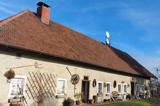 Gewerbeobjekt kaufen in 4600 Wels (Bild 3)