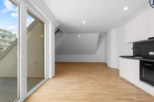 Terrassenwohnung kaufen in 1220 Wien (Bild 3)