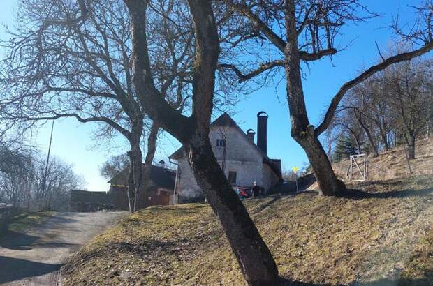 Haus kaufen in 3650 Pöggstall (Bild 2)