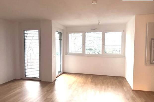 Terrassenwohnung mieten in 1210 Wien (Bild 2)