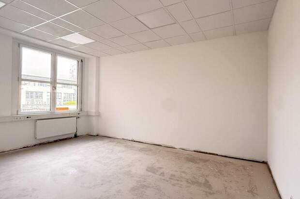 Gewerbeobjekt mieten in 2320 Schwechat (Bild 5)