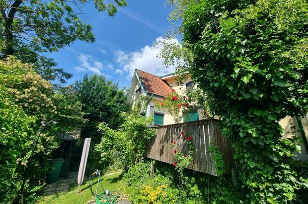 Einfamilienhaus kaufen in 3053 Laaben (Bild 5)