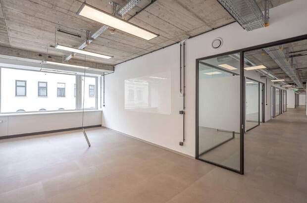 Gewerbeobjekt mieten in 1090 Wien (Bild 2)