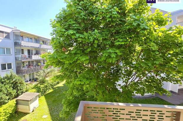 Terrassenwohnung kaufen in 1230 Wien (Bild 5)