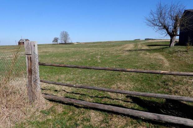 Bauernhaus kaufen in 3830 Waidhofen (Bild 4)