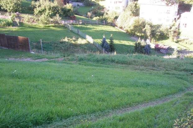 Gewerbeobjekt mieten in 4120 Neufelden (Bild 4)