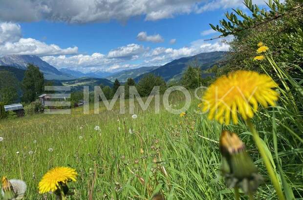 Grundstück kaufen in 8966 Aich (Bild 1)