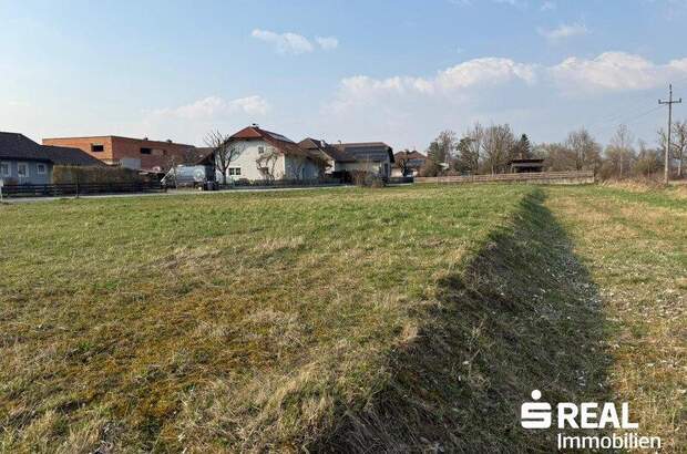 Grundstück kaufen in 4070 Pupping (Bild 1)
