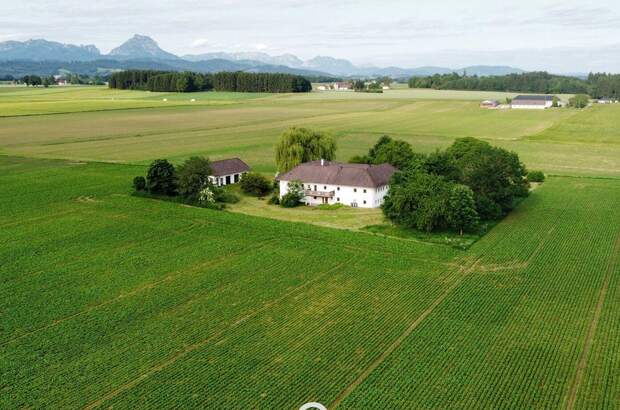 Haus kaufen in 4643 Pettenbach