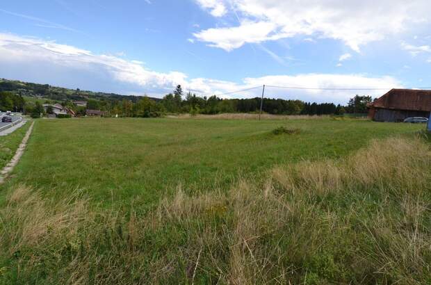 Gewerbeobjekt kaufen in 8511 Teipl (Bild 2)