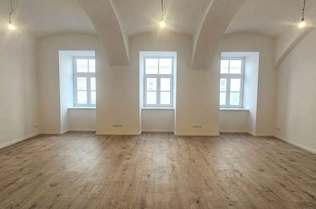 Gewerbeobjekt mieten in 1090 Wien (Bild 2)