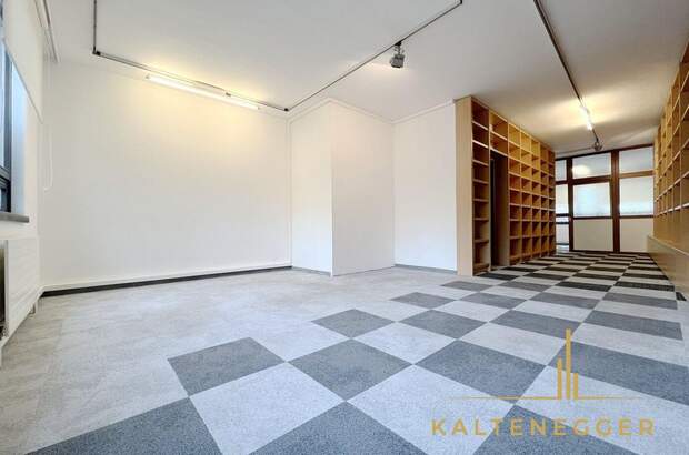 Gewerbeobjekt mieten in 1080 Wien (Bild 1)