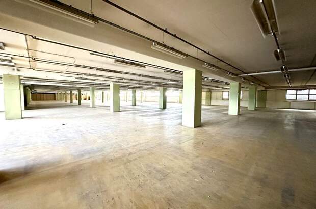 Gewerbeobjekt mieten in 8055 Graz (Bild 1)
