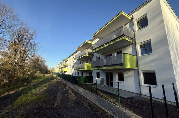 Terrassenwohnung kaufen in 2442 Unterwaltersdorf (Bild 1)