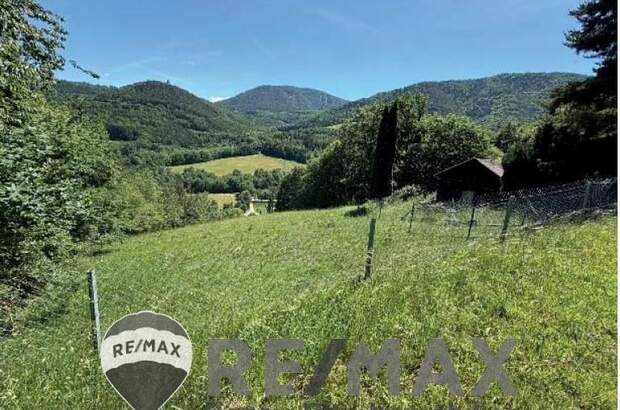 Jagd- und Forstwirtschaft kaufen in 2640 Weißenbach (Bild 1)