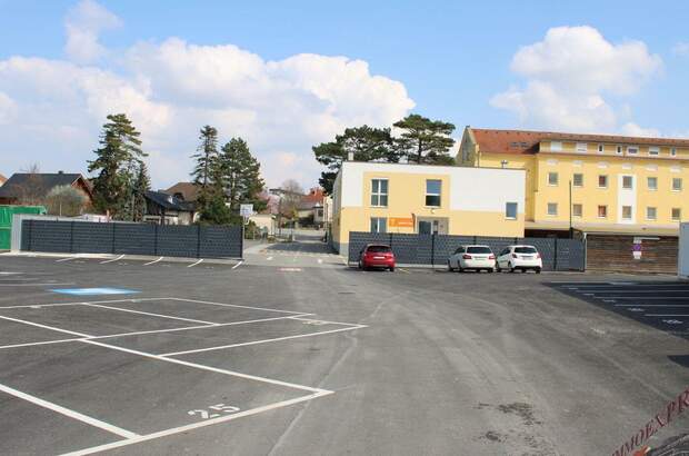 Immobilie mieten in 2401 Fischamend (Bild 1)