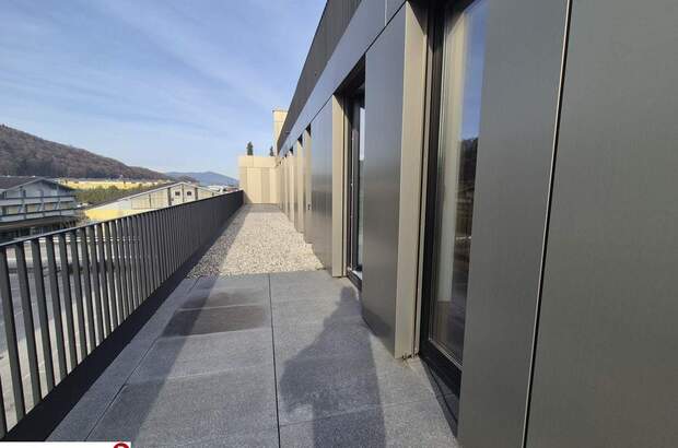 Gewerbeobjekt mieten in 5101 Bergheim (Bild 2)