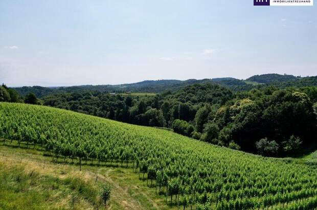 Grundstück kaufen in 8462 Gamlitz (Bild 3)