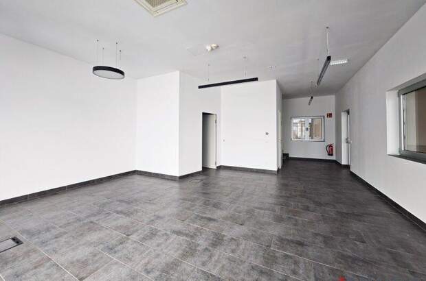 Produktion mieten in 2100 Korneuburg (Bild 4)