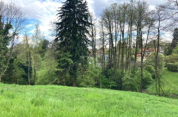 Grundstück kaufen in 8010 Graz (Bild 1)