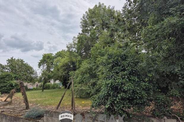 Grundstück kaufen in 2301 Groß (Bild 4)