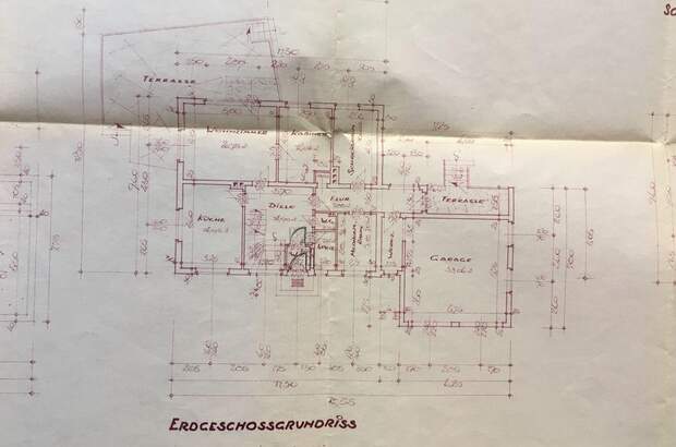 Haus mit Garten kaufen in 4622 Eggendorf (Bild 4)