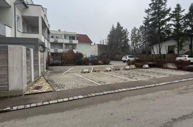 Halle / Lager / Produktion mieten in 2540 Bad Vöslau (Bild 3)