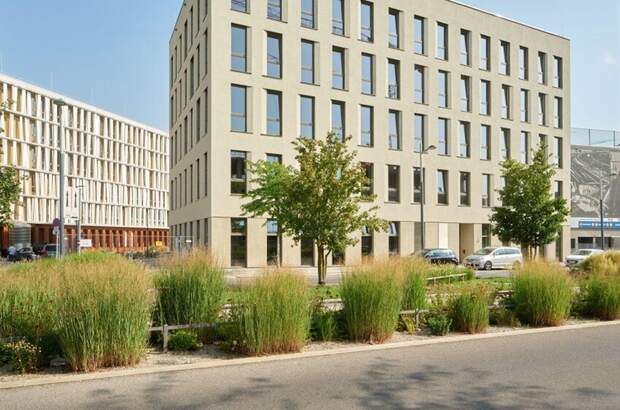 Gewerbeobjekt mieten in 1220 Wien (Bild 2)