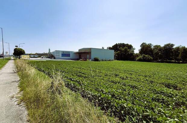 Gewerbeobjekt kaufen in 7400 Oberwart (Bild 2)