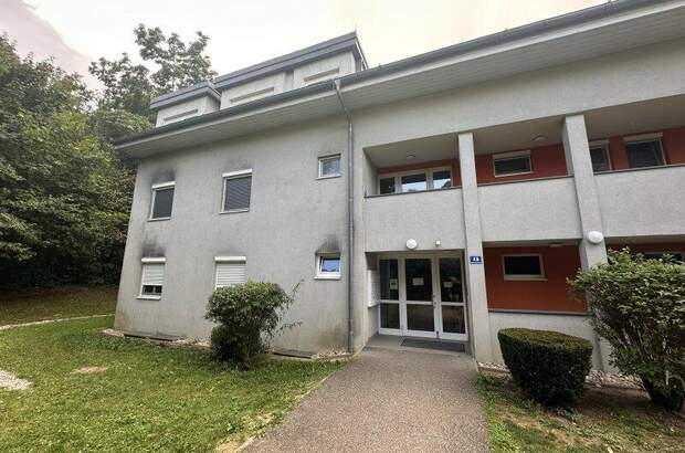 Terrassenwohnung kaufen in 4470 Enns (Bild 4)