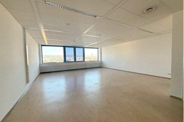 Büro / Praxis mieten in 2351 Wr. Neudorf (Bild 2)