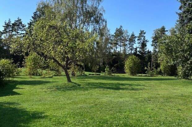 Einfamilienhaus kaufen in 3874 Litschau (Bild 4)