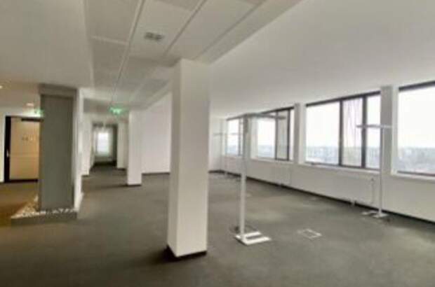 Gewerbeobjekt mieten in 1230 Wien (Bild 5)